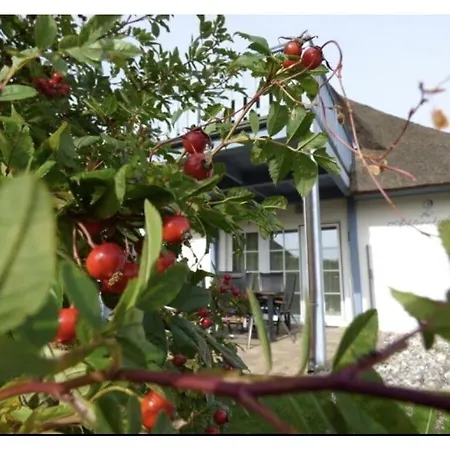 Achternkieker Comfortable *