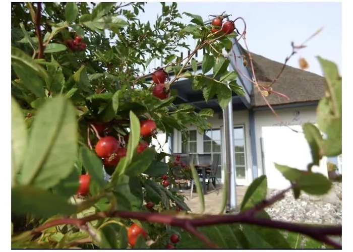 Achternkieker Comfortable *