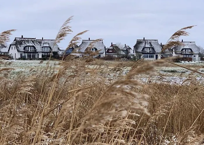 Achternkieker Comfortable 度假居